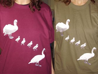 Swans T-shirt